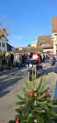 IMG-20241201-WA0008